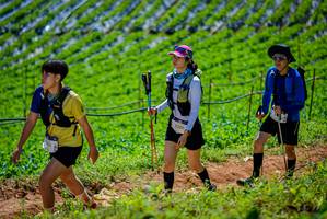 BIB: 2380, 
                            <button type="button" onclick="openModal(19164475)" class="btn btn-primary btn-sm float-right btn-popup" data-toggle="modal" data-target=".modal-high-quality">
                        <i class="fas fa-shopping-cart"></i> Add to Cart
                    </button>
                                            <button type="button" onclick="isThisMe(19164475, true)" class="btn btn-success btn-sm float-right btn-popup btn-isme hidden" data-toggle="tooltip" data-placement="bottom" title="นี่คือรูปของคุณใช่ไหม คลิกที่นี่เพื่อเอาเข้าอัลบั้ม">
                        <i class="fas fa-plus"></i> Add to album
                    </button>
                    <button type="button" onclick="isThisMe(19164475, false)" class="btn btn-warning btn-sm float-right btn-popup btn-isnotme hidden">
                        <i class="fas fa-ban"></i> Remove from album
                    </button>